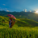 Rondreis Vietnam met kinderen